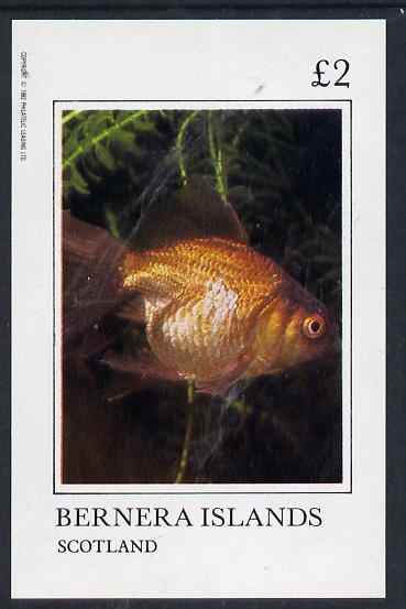 Bernera 1982 Ornamental Fish imperf deluxe sheet (£2 value) unmounted mint, stamps on fish     marine-life