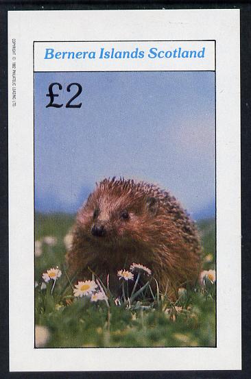 Bernera 1982 Animals (Hedgehog) imperf deluxe sheet (£2 value) unmounted mint, stamps on animals, stamps on hedgehogs