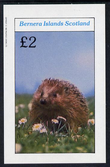 Bernera 1982 Animals (Hedgehog) imperf deluxe sheet (2 value) unmounted mint