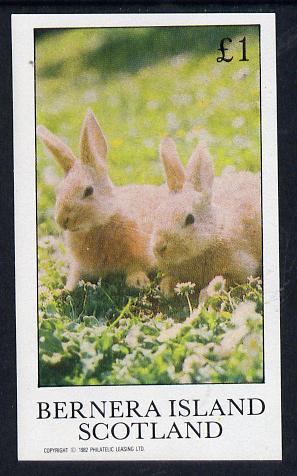 Bernera 1982 Rabbits imperf souvenir sheet (£1 value) unmounted mint, stamps on animals    rabbits