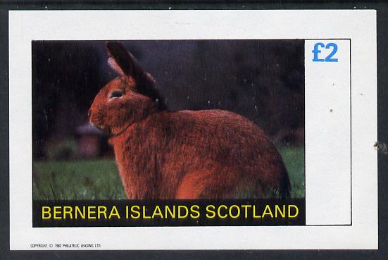 Bernera 1982 Rabbits imperf deluxe sheet (£2 value) unmounted mint, stamps on animals     rabbits