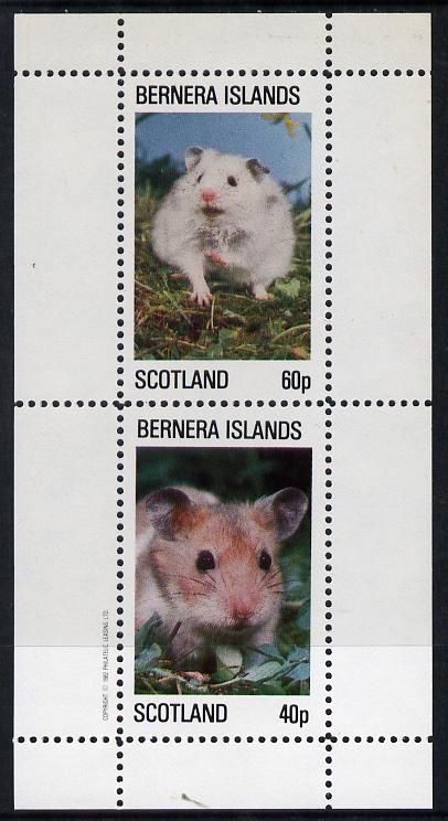 Bernera 1982 Rodents #1 perf  set of 2 values (40p & 60p) unmounted mint, stamps on animals     rodents