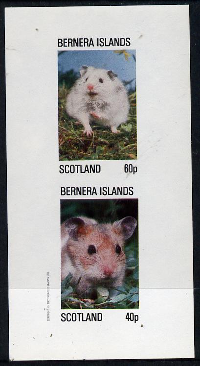 Bernera 1982 Rodents #1 imperf  set of 2 values (40p & 60p) unmounted mint, stamps on , stamps on  stamps on animals     rodents