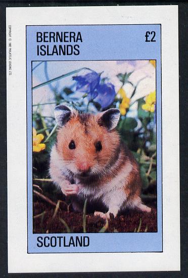 Bernera 1982 Animal (Gerbil) imperf deluxe sheet (£2 value) unmounted mint, stamps on animals