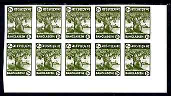 Bangladesh 1976 Jack Fruit 5p unmounted mint IMPERF corner block of 10, SG64a, stamps on , stamps on  stamps on fruit