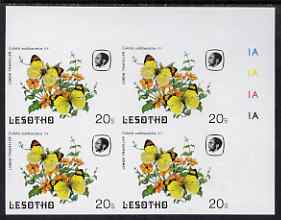 Lesotho 1984 Butterflies Lemon Traveller 20s imperf with background colour omitted, unmounted mint plate block of 4, stamps on butterflies