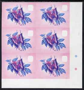 Lesotho 1984 Butterflies Foxy Charaxes 30s imperf proof in magenta & blue colours only, unmounted mint colour-dot block of 6, stamps on butterflies