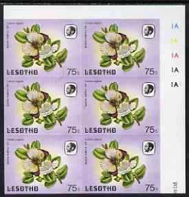 Lesotho 1984 Butterflies Queen Purple Tip 75s imperforate, unmounted mint plate block of 6, stamps on butterflies