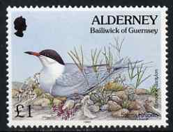 Guernsey - Alderney 1994-98 Flora & Fauna Defs Â£1 Tern & Grass unmounted mint SG A76, stamps on flowers, stamps on birds, stamps on 