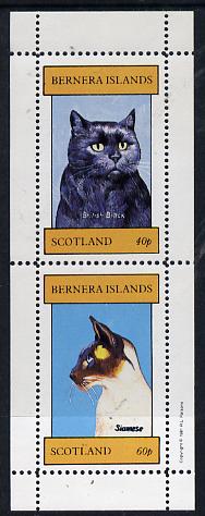 Bernera 1981 Cats (British Black & Siamese) perf  set of 2 values (40p & 60p) unmounted mint, stamps on animals    cats