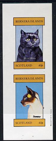 Bernera 1981 Cats (British Black & Siamese) imperf  set of 2 values (40p & 60p) unmounted mint, stamps on , stamps on  stamps on animals    cats