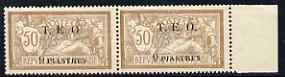 Syria 1919 9p on 50c horiz pair unmounted mint , SG9 cat \A3140