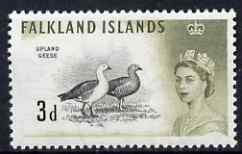 Falkland Islands 1960-66 Upland Goose 3d from def set unmounted mint, SG 197, stamps on , stamps on  stamps on birds, stamps on  stamps on goose, stamps on  stamps on geese