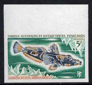 French Southern & Antarctic Territories 1971 Long-nosed Icefish 5f IMPERF single unmounted mint, as SG 61, stamps on fish