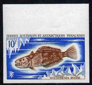 French Southern & Antarctic Territories 1971 Marbled rockcod 10f IMPERF single unmounted mint, as SG 62, stamps on , stamps on  stamps on fish