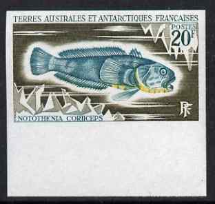 French Southern & Antarctic Territories 1971 Antarctic rockcod 20f IMPERF single unmounted mint, as SG 63, stamps on fish