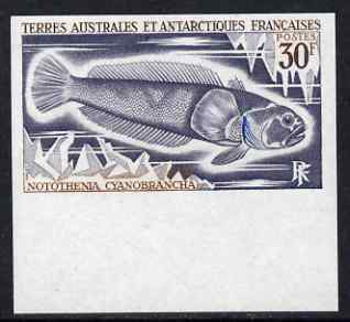 French Southern & Antarctic Territories 1971 Blue-gilled rockcod 30f IMPERF single unmounted mint, as SG 66, stamps on , stamps on  stamps on fish