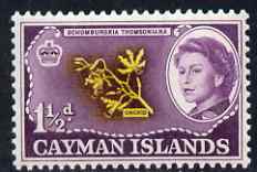 Cayman Islands 1962-64 Orchid 1.5d unmounted mint, SG 167, stamps on , stamps on  stamps on flowers, stamps on  stamps on orchids, stamps on  stamps on shells