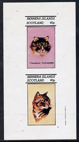 Bernera 1982 Cats (Tortoiseshell etc) imperf  set of 2 values (40p & 60p) unmounted mint, stamps on animals   cats