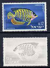 Israel 1963 Fish 12a with fne offset of black on gummed side, unmounted mint and most unusual, stamps on , stamps on  stamps on fish