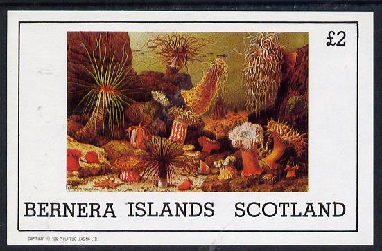 Bernera 1982 Marine Life imperf deluxe sheet (£2 value) unmounted mint, stamps on marine-life