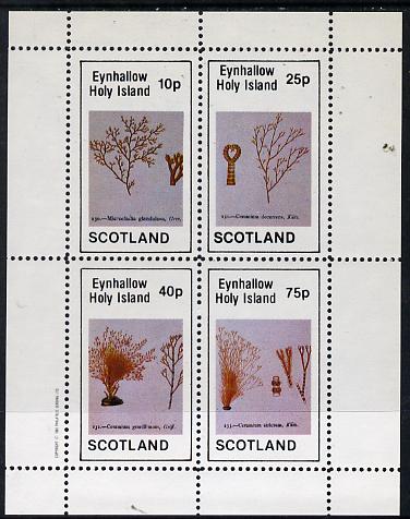 Eynhallow 1982 Sea Weed perf  set of 4 values (10p to 75p) unmounted mint, stamps on , stamps on  stamps on marine-life