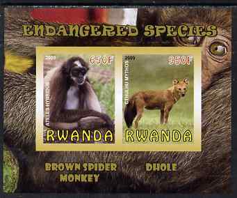 Rwanda 2009 Endangered Species - Spider Monkey & Dhole imperf sheetlet containing 2 values unmounted mint, stamps on , stamps on  stamps on animals, stamps on  stamps on apes, stamps on  stamps on dholes