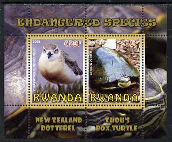 Rwanda 2009 Endangered Species - New Zealand Dotterel & Box Turtle perf sheetlet containing 2 values unmounted mint, stamps on , stamps on  stamps on animals, stamps on  stamps on birds, stamps on  stamps on turtles