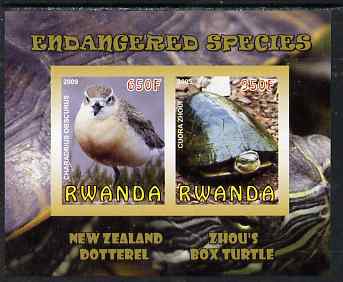 Rwanda 2009 Endangered Species - New Zealand Dotterel & Box Turtle imperf sheetlet containing 2 values unmounted mint, stamps on animals, stamps on birds, stamps on turtles