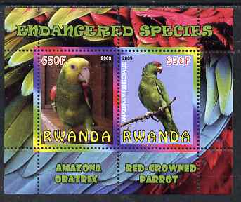 Rwanda 2009 Endangered Species - Oratrix & Red-Crowned Parrot perf sheetlet containing 2 values unmounted mint, stamps on , stamps on  stamps on birds, stamps on  stamps on parrots