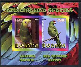 Rwanda 2009 Endangered Species - Oratrix & Red-Crowned Parrot imperf sheetlet containing 2 values unmounted mint, stamps on birds, stamps on parrots