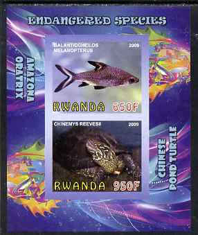 Rwanda 2009 Endangered Species - Pond Turtle & Silver Shark (inscribed Oratrix in error) imperf sheetlet containing 2 values unmounted mint, stamps on , stamps on  stamps on animals, stamps on  stamps on fish, stamps on  stamps on sharks, stamps on  stamps on turtles