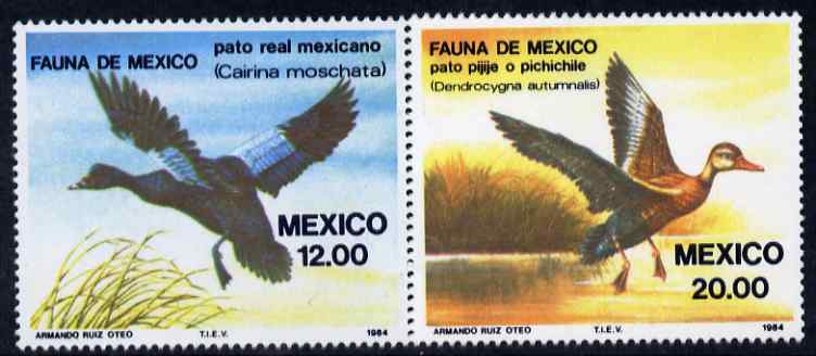 Mexico 1984 Fauna (6th series) set of 2 unmounted mint SG 1703-04, stamps on , stamps on  stamps on birds, stamps on  stamps on ducks