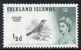 Falkland Islands 1960-66 Austral Thrush 1/2d black & green (Waterlow printing) unmounted mint, SG 193, stamps on birds