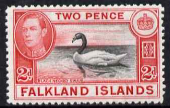 Falkland Islands 1938-50 KG6 Black-necked Swan 2d mounted mint, SG 150, stamps on , stamps on  stamps on , stamps on  stamps on  kg6 , stamps on  stamps on swans