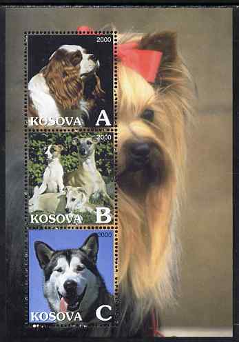 Kosova 2000 Dogs perf sheetlet containing set of 3 values unmounted mint, stamps on , stamps on  stamps on dogs