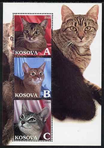 Kosova 2000 Domestic Cats perf sheetlet containing set of 3 values unmounted mint, stamps on , stamps on  stamps on cats