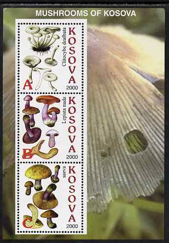 Kosova 2000 Mushrooms #2 perf sheetlet containing 3 values unmounted mint, stamps on , stamps on  stamps on fungi