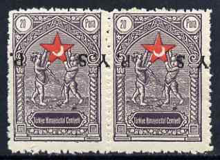 Turkey 1936 Postal Tax 20pa horiz pair with inverted overprint unmounted mint, as SG T1186, stamps on , stamps on  stamps on red cross, stamps on  stamps on medical, stamps on  stamps on children