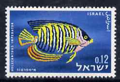 Israel 1962 Red Sea Fish 12a Angelfish with superb set-off of black, unmounted mint but creased, as SG 241, stamps on , stamps on  stamps on fish