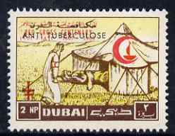 Dubai 1964 Anti-tuberculosis Campaign 2np overprinted with Lorraine Cross inverted plus normal both unmounted mint, stamps on red cross, stamps on 