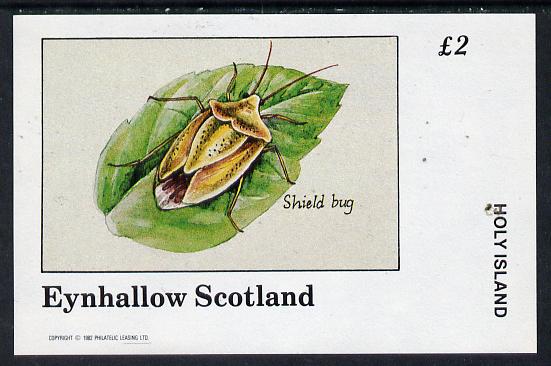 Eynhallow 1982 Insects (Shield Bug) imperf deluxe sheet (£2 value) unmounted mint, stamps on insects