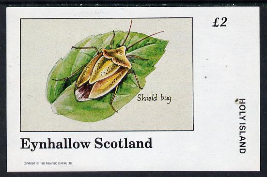 Eynhallow 1982 Insects (Shield Bug) imperf deluxe sheet (2 value) unmounted mint