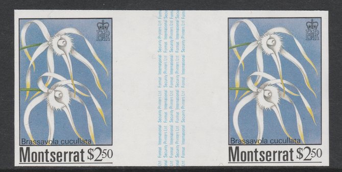 Montserrat 1985 Orchids $2.50 (Brassavola cucullata) imperf gutter pair unmounted mint from uncut proof sheet, as SG 634. Note: The design withing the gutter varies across the sheet, therefore, the one you receive  may differ from that shown in the illustration., stamps on , stamps on  stamps on flowers, stamps on  stamps on orchids