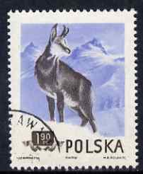 Poland 1954 Chamois 1z 90 cto used from Protected Animals set, SG 902, stamps on animals, stamps on deer