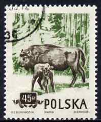 Poland 1954 European Bison 45g cto used from Protected Animals set, SG 900, stamps on , stamps on  stamps on animals, stamps on  stamps on bovine, stamps on  stamps on bison