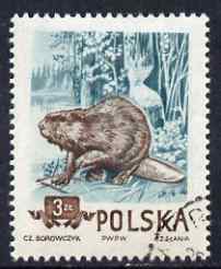 Poland 1954 Eurasian Beaver 3z cto used from Protected Animals set, SG 903, stamps on , stamps on  stamps on animals, stamps on  stamps on beaver