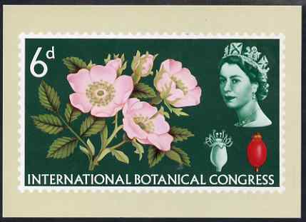 Postcard - Roses Exhibition - 6d Botanical stamp of 1964 PPC produced by National Postal Museum unused and fine, stamps on exhibitions, stamps on flowers, stamps on roses