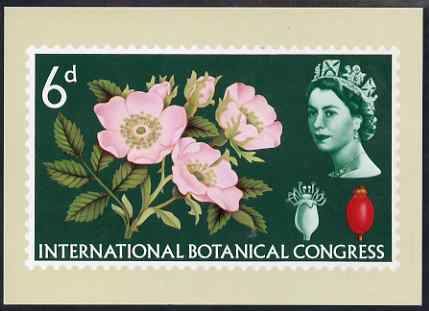 Postcard - Roses Exhibition - 6d Botanical stamp of 1964 PPC produced by National Postal Museum unused and fine, stamps on , stamps on  stamps on exhibitions, stamps on  stamps on flowers, stamps on  stamps on roses