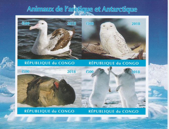 Congo 2018 Polar Animals & Birds #1 imperf sheetlet containing 4 values unmounted mint. Note this item is privately produced and is offered purely on its thematic appeal., stamps on , stamps on  stamps on polar, stamps on  stamps on animals, stamps on  stamps on birds, stamps on  stamps on owls